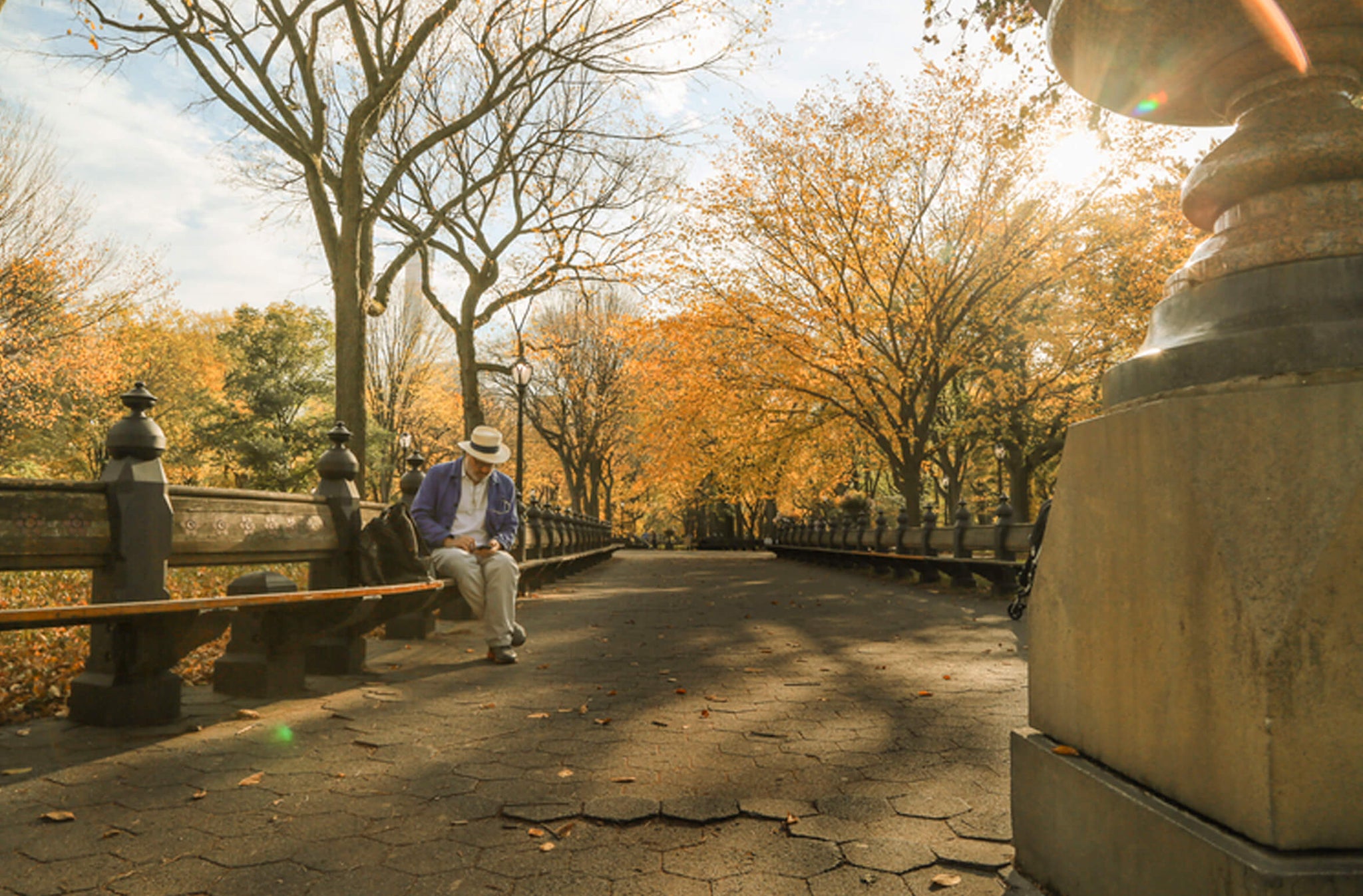 umano x suanak shah nyc central park