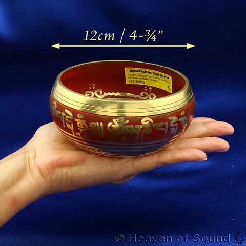 a 12 cm bowl in the hand