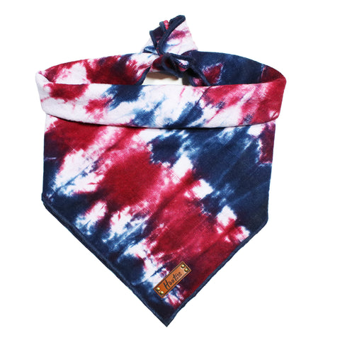 Antero Ikat Frayed Dog Bandana