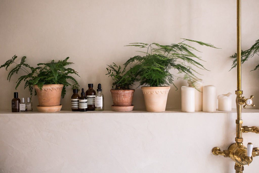 plants as bathroom decor in terracotta plant pots