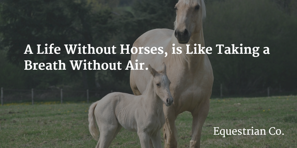 A life without horses, is like taking a breath without air. 