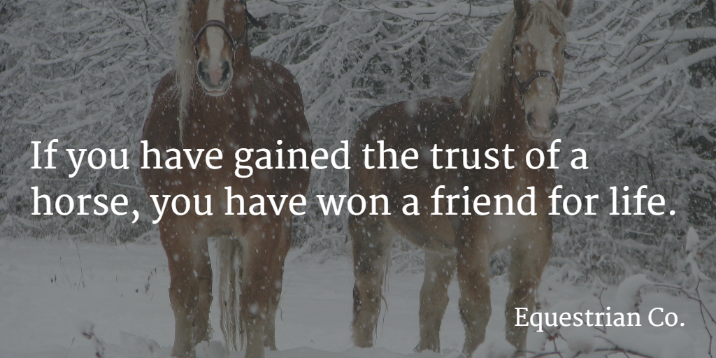 If you have gained the trust of a horse, you have won a friend for life.