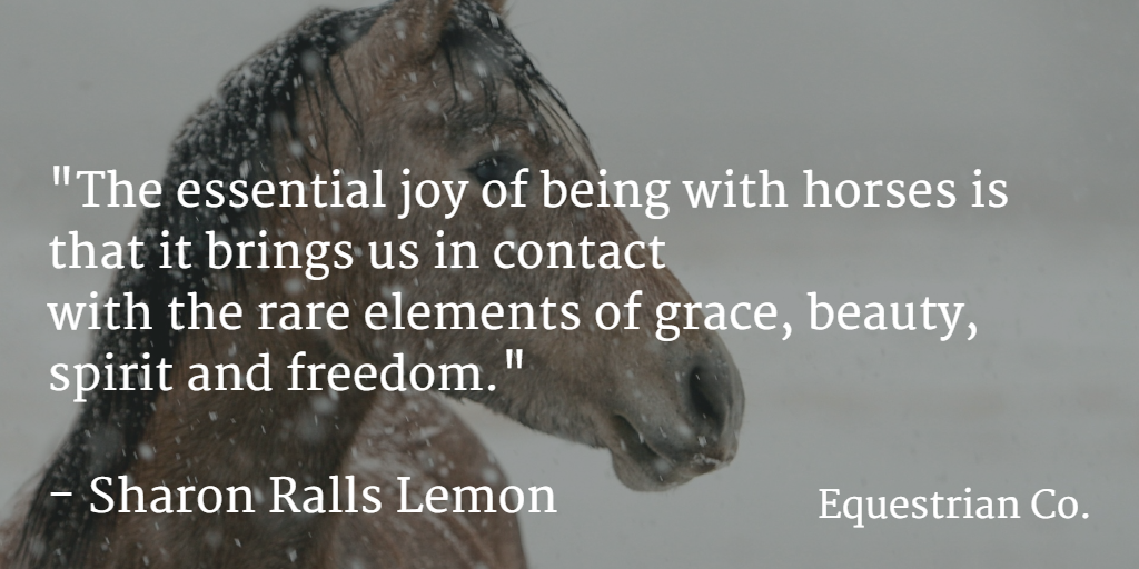 The essential joy of being with horses is that it brings us in contact with the rare elements of grace, beauty, spirit and freedom.