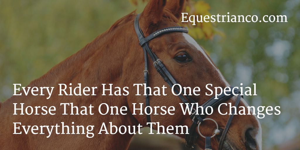 Every rider has that one special horse that one horse who changes everything about them.