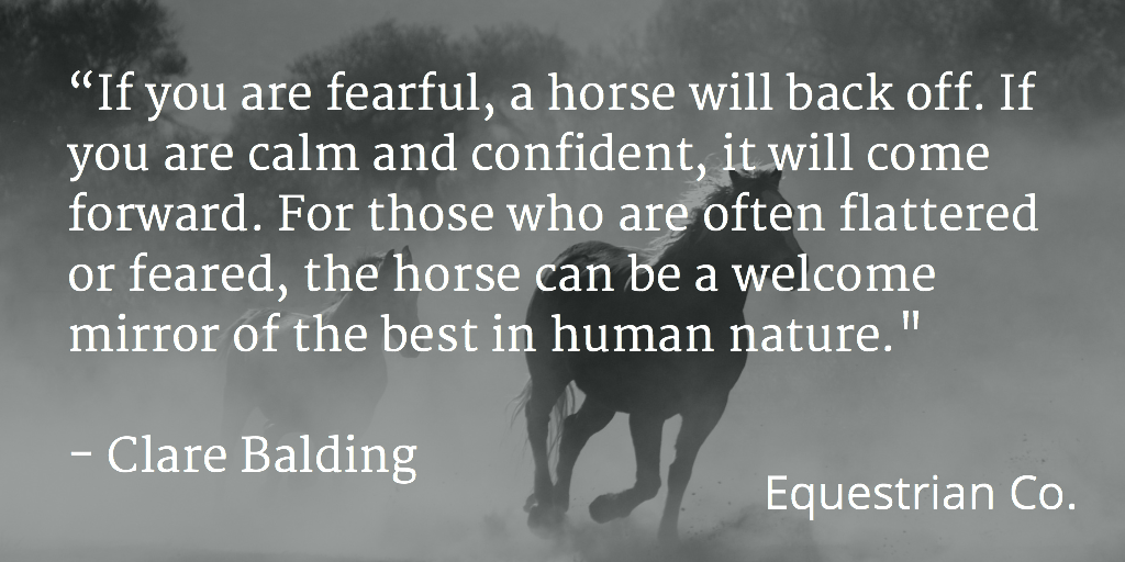 If you are fearful, a horse will back off. If you are calm and confident, it will come forward. For those who are often flattered or feared, the horse can be a welcome mirror of the best in human nature. 