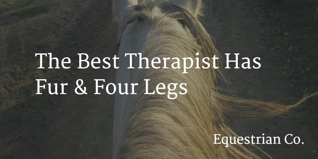 The best therapist has fur & hour legs. 