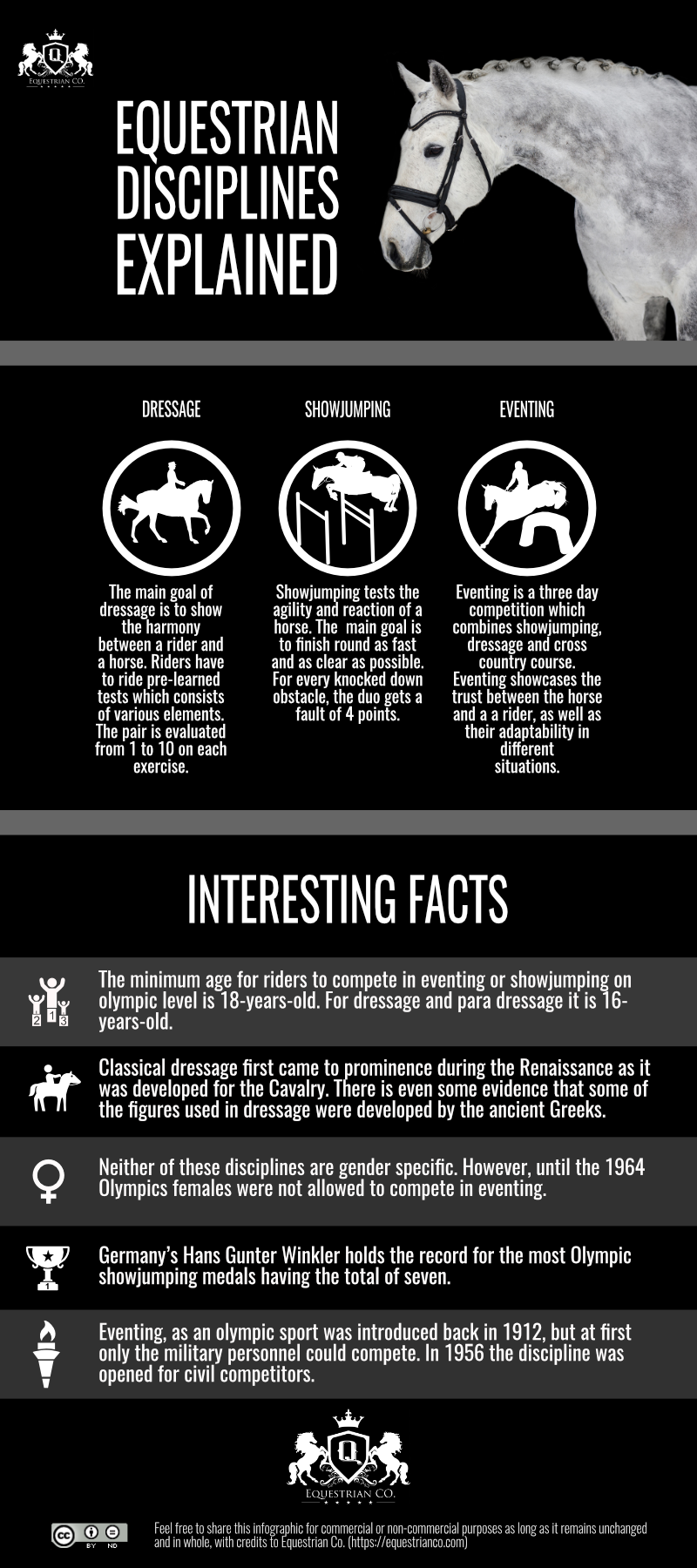 Equestrian Disciplines Infographic