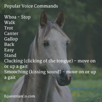 Horse Voice Commands