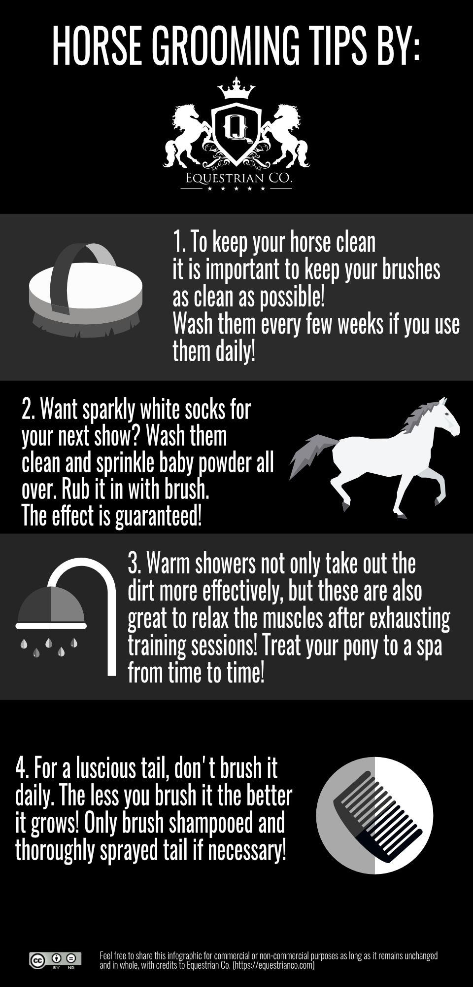 Horse Grooming Tips Infographic
