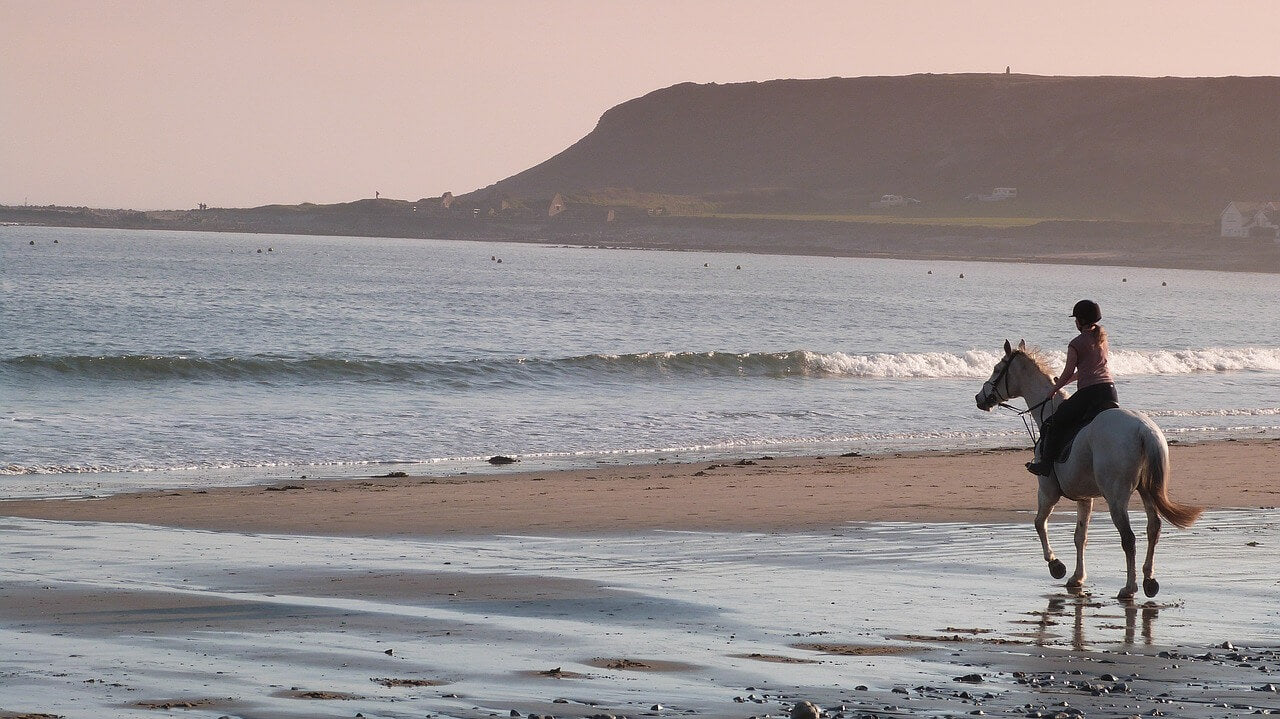 Riding a horse on the beach