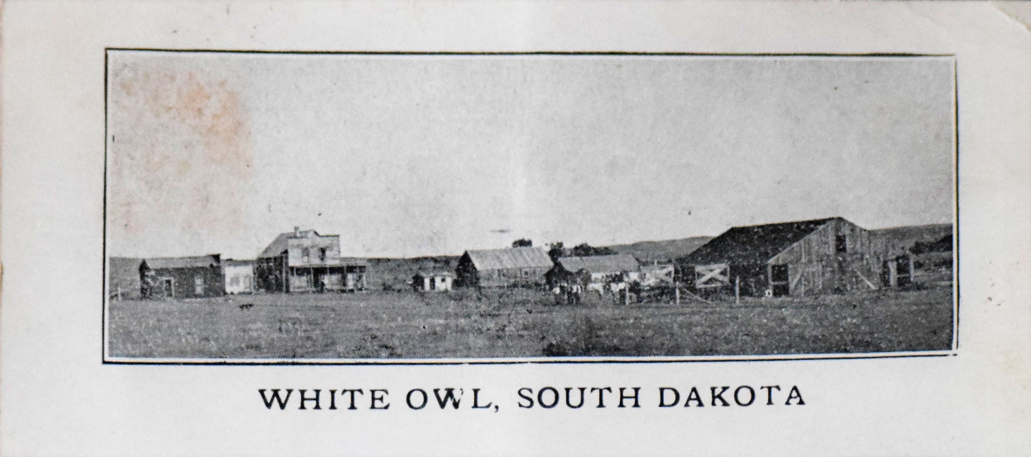 White Owl, SD Postcard circa 1910