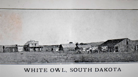 Early White Owl, SD