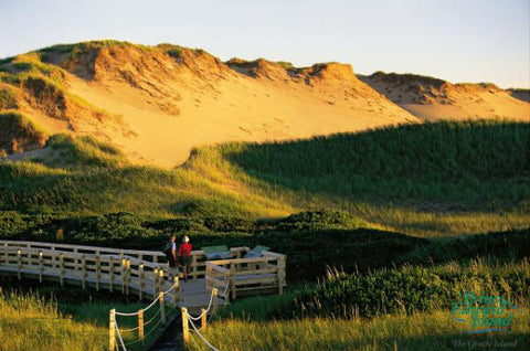 dunes paraboliques