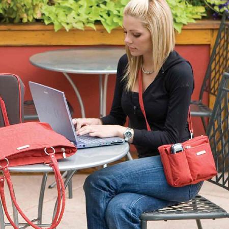 Baggallini Large Wallet Bagg - Jet-Setter.ca
