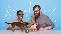 bark box