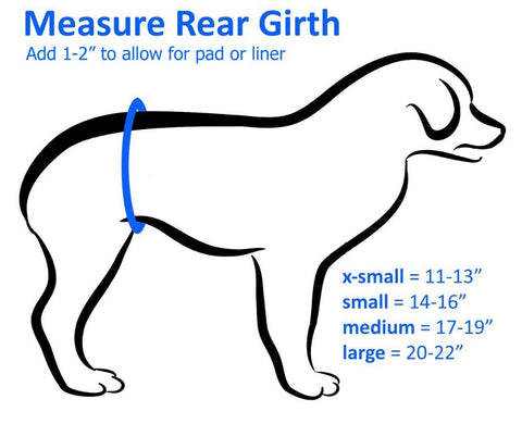 How to Measure Your Dog For a Belly Band