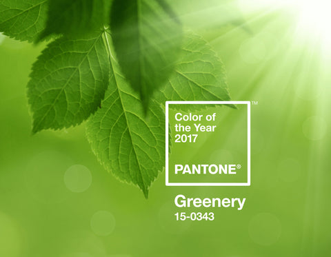 Greenery Pantone 2017 color of the year