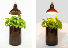 Wine bottle planter