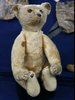 Stieff Teddy Bear 1903