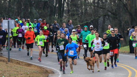 Hound Dog Ludivine Running