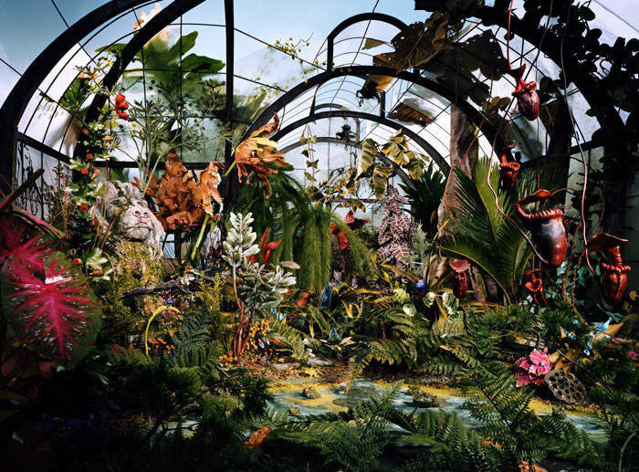 Lori Nix Botanic Garden presented by Bau-Xi Gallery