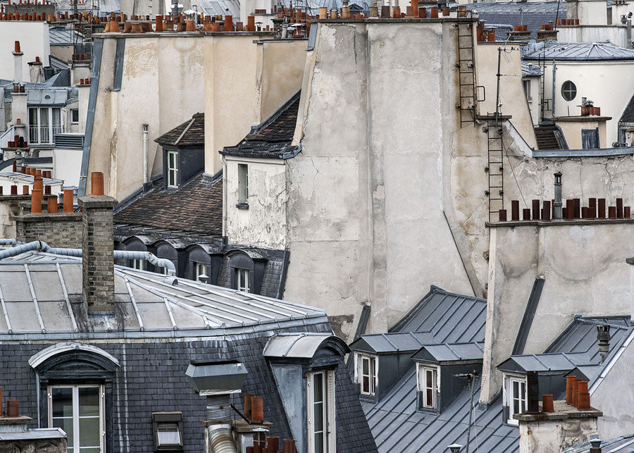 Michael Wolf photograph Paris Rooftops presented by Bau-Xi Gallery