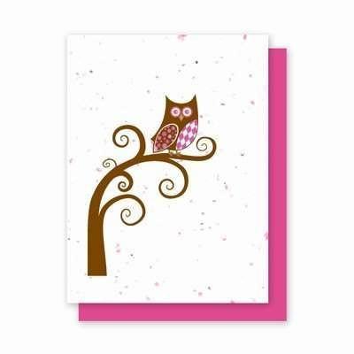 Argyle Owl - 4 Pack Plantable Greeting Cards - Fine Gifts La Bella Basket Company