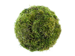 kokedama ball