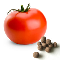 Tomato Seed Balls