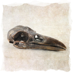 Bronze Raven Skull