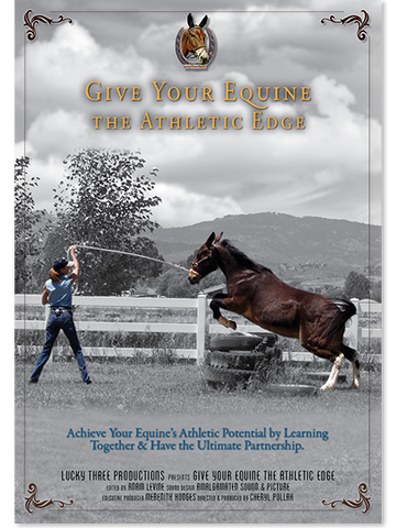 Give Your Equine the Athletic Edge