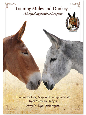 Training Mules and Donkeys