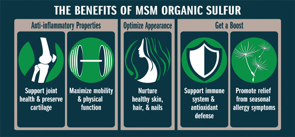 MSM Organic Sulfur benefits list