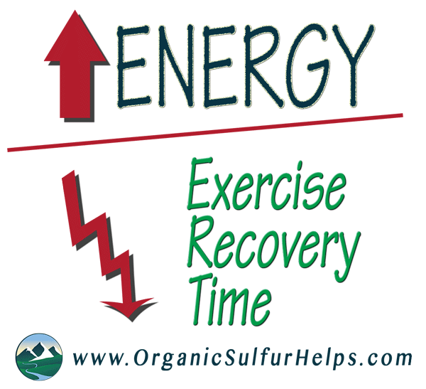 MSM Organic Sulfur can increase energy and recovery