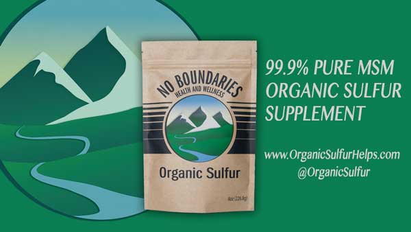 MSM Organic Sulfur From No Boundaries Health and Wellness