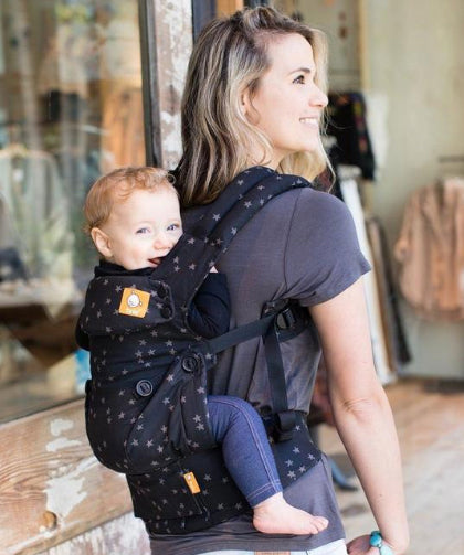 Tula Ergonomic Toddler Carrier 