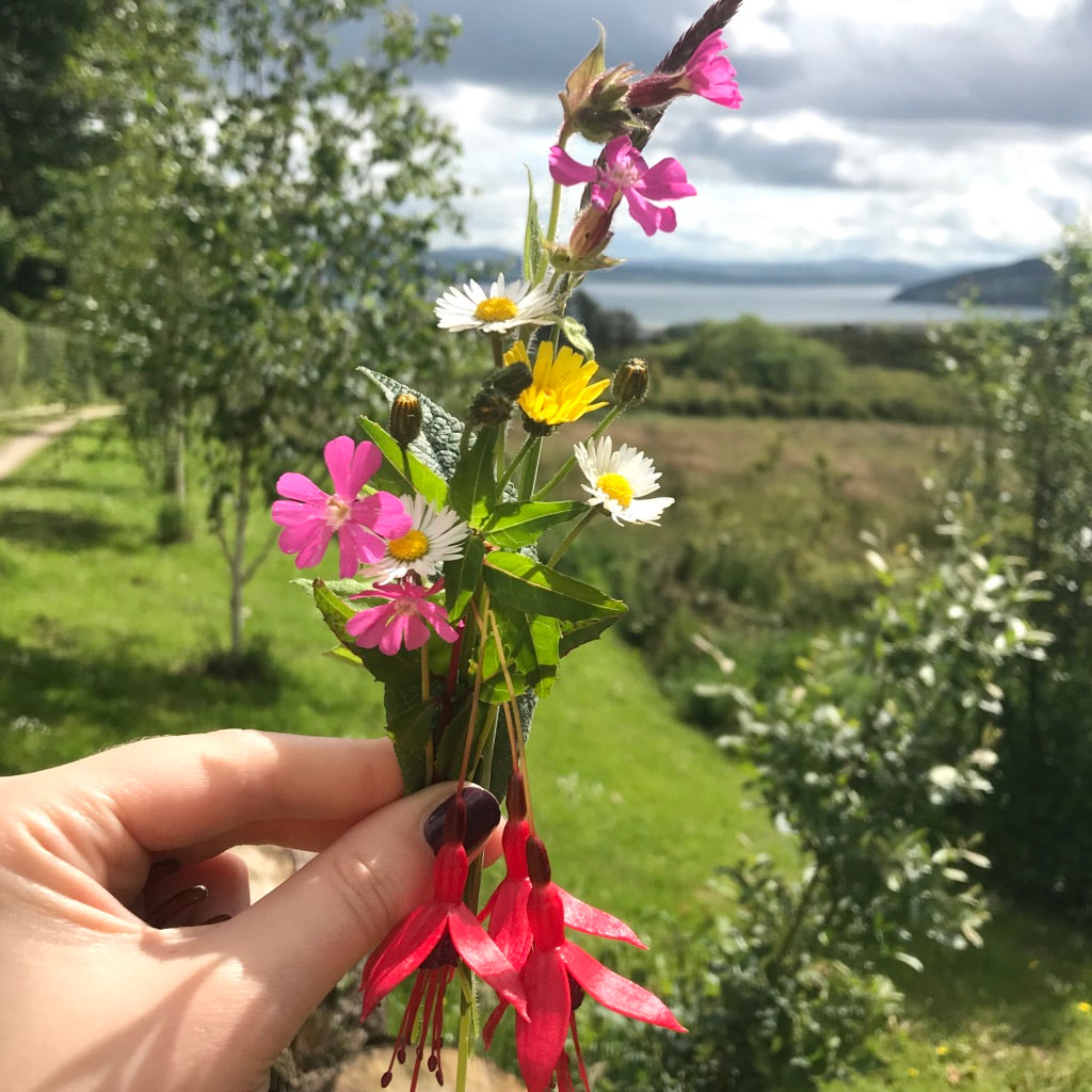 County Donegal, Flowers