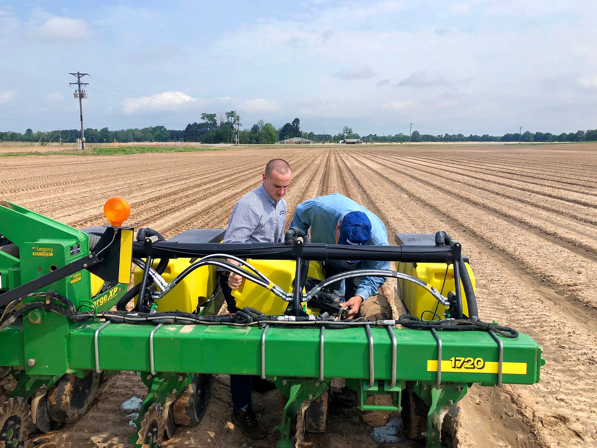 Peanut Farm