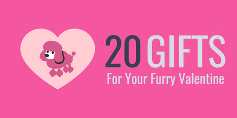 20 Gifts for Your Furry Valentine