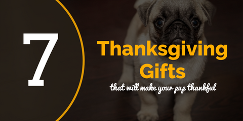 7 Thanksgiving Gifts That Will Make Your Pup Thankful