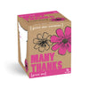 Many Thanks Grow Me Kit