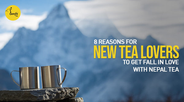 8 Reasons for New Tea Lovers to Get Fall in Love with Nepal Tea