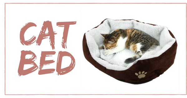 buy cat bed