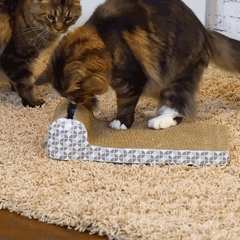 GIF Scratch board