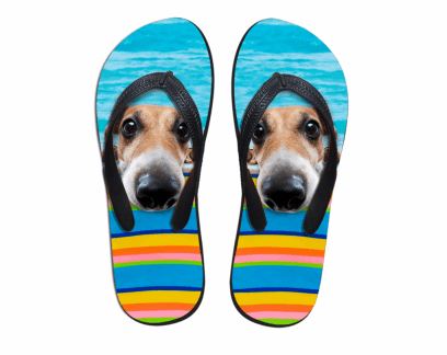 dog print flip flops