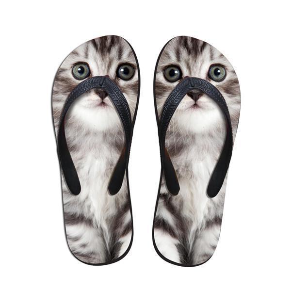 cat in a flip flop