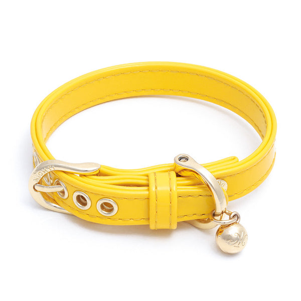 sunshine dog collar