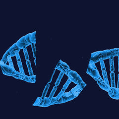 Broken Bacteria DNA Antibacterial Ornadi