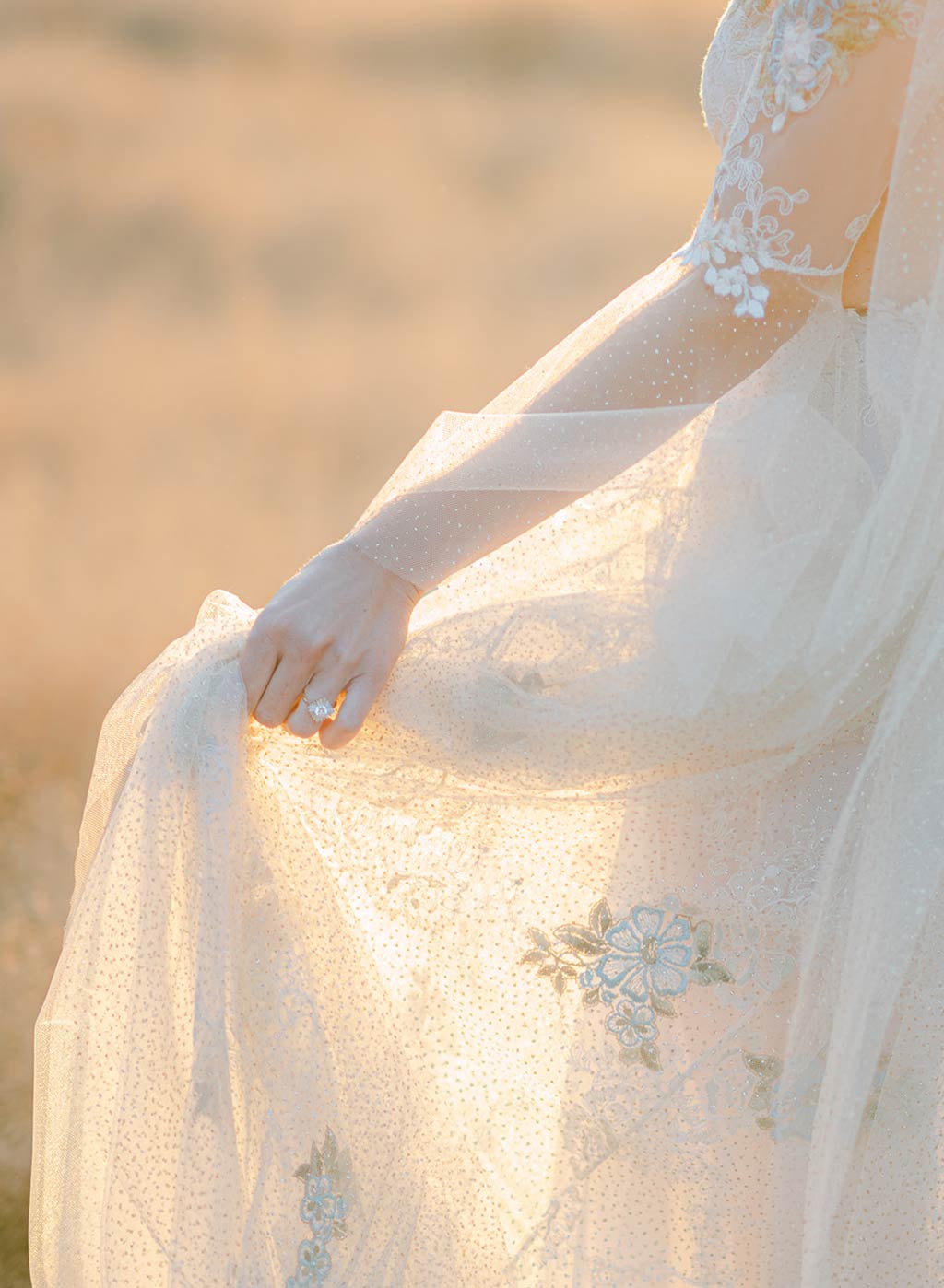 Chrysalis Colorful Wedding Dress Detail