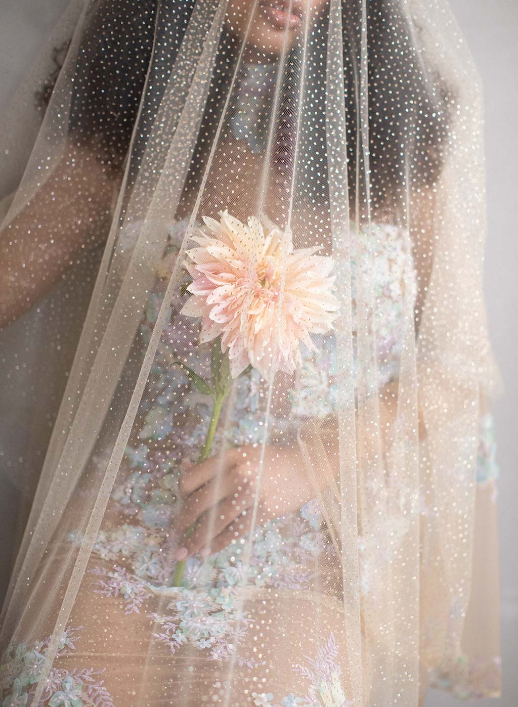 Bride in Claire Pettibone wedding veil